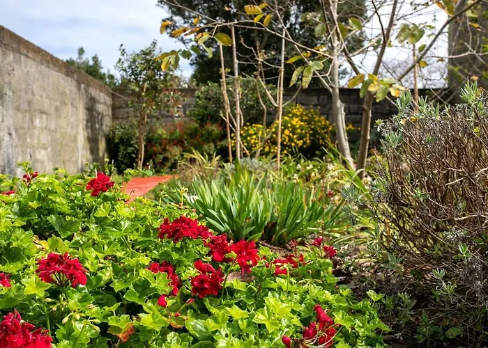 Guestready - Casa Florbela São Vicente Ferreira
