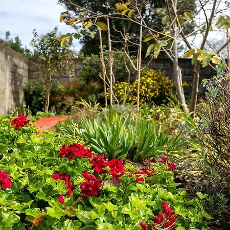 Casa Florbela Sao Vicente Ferreira